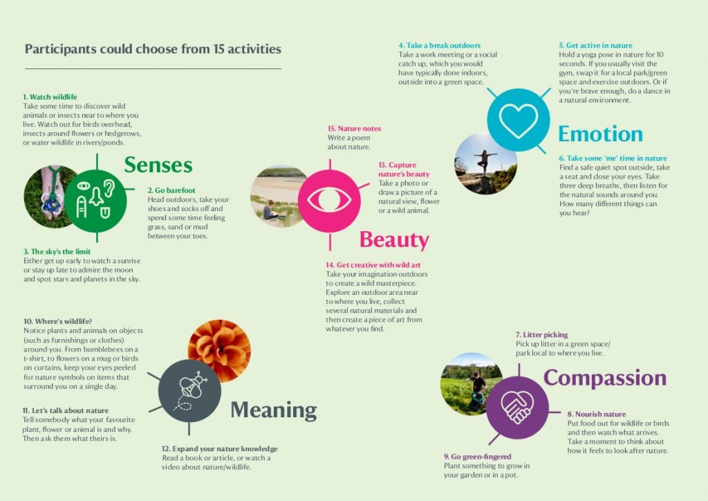 list of ideas with graphics on noticing nature